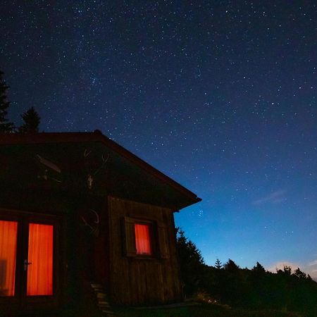 Chalet Petit Kanzelhohe Bagian luar foto