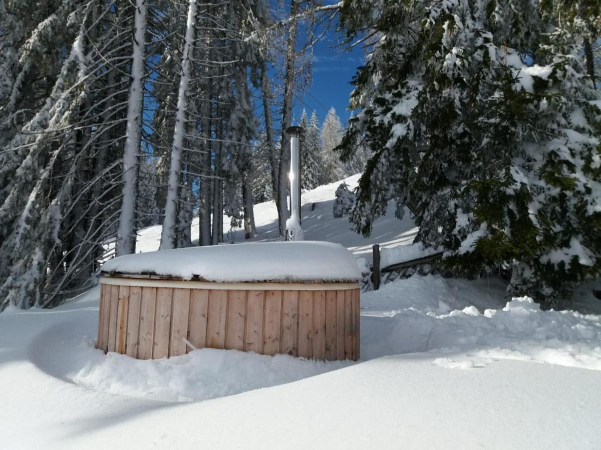 Chalet Petit Kanzelhohe Bagian luar foto