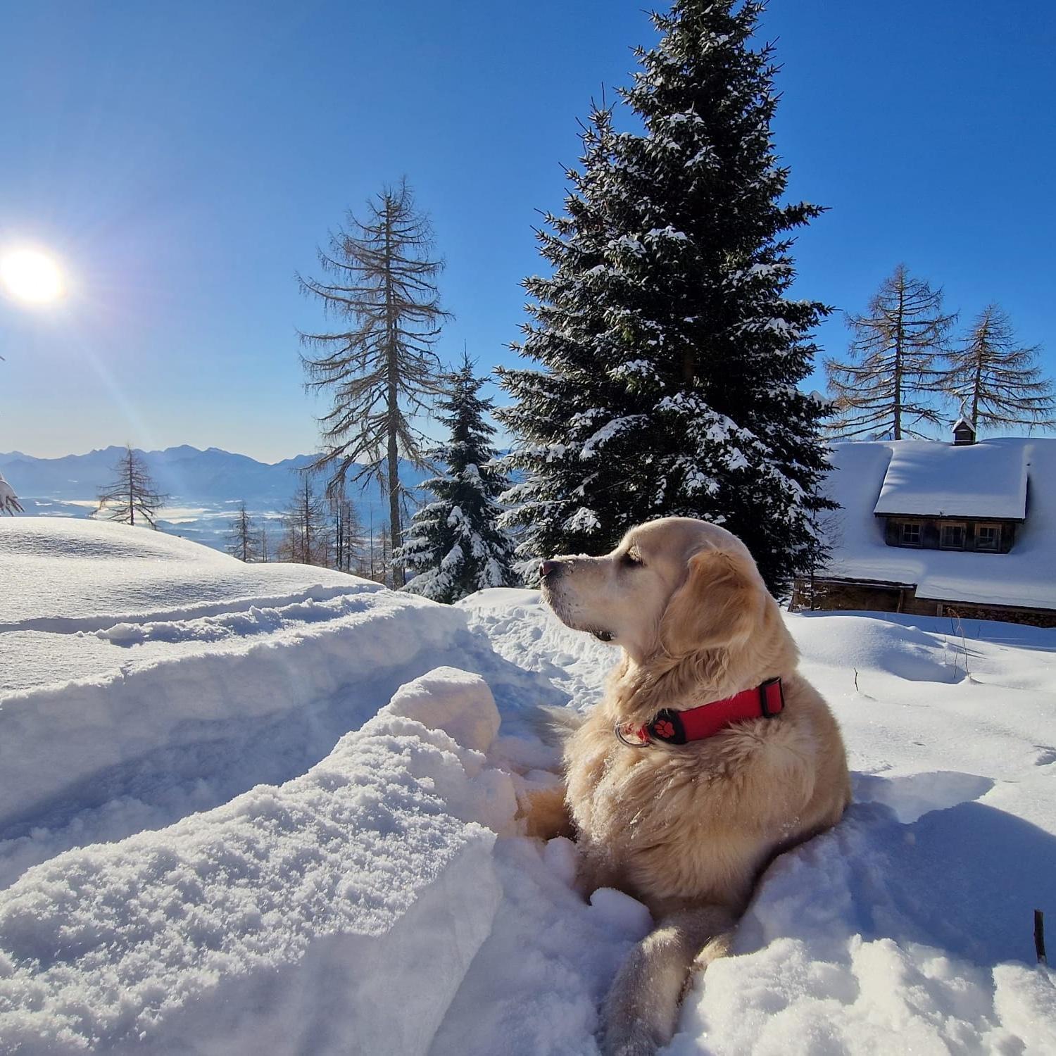 Chalet Petit Kanzelhohe Bagian luar foto